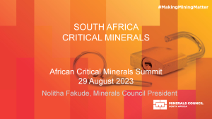 African Critical Minerals Summit 29 August 2023-0